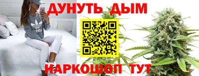прущие грибы Балахна