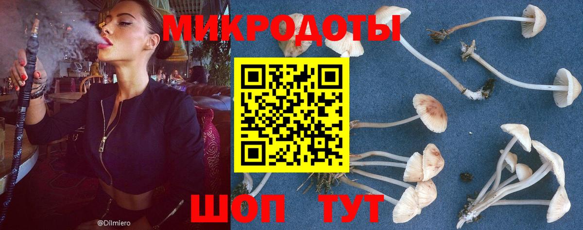 Псилоцибиновые грибы ЛСД Гудермес