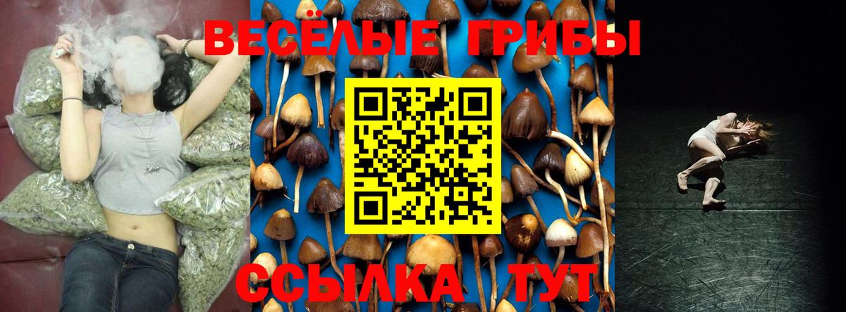 МЕФ   Кетамин  Магазин наркотиков  Вход с VPN  Гудермес  Гашиш  Гашиш  Alpha-PVP СК   Марихуана 