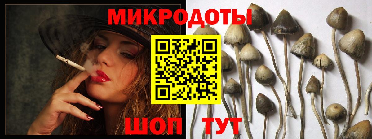 Гудермес  Галлюциногенные грибы MAGIC MUSHROOMS  Вход с VPN  Галлюциногенные грибы прущие грибы 
